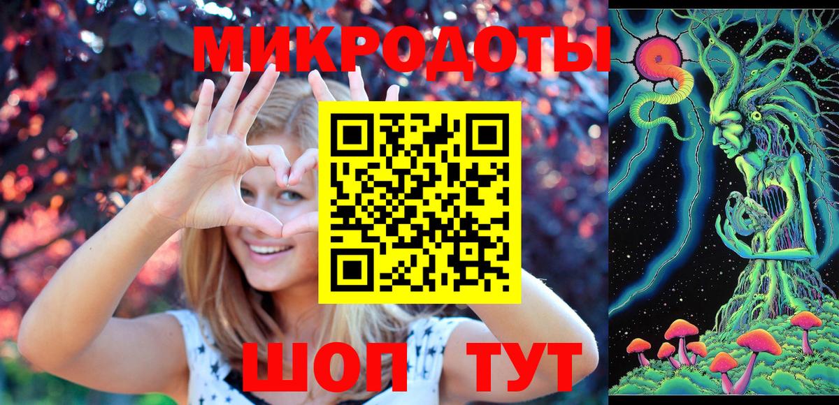 Псилоцибиновые грибы GOLDEN TEACHER Дубна