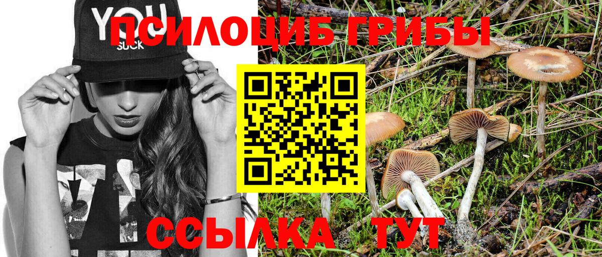 Псилоцибиновые грибы Psilocybine cubensis  Галлюциногенные грибы прущие грибы  Вход с VPN  Дубна 